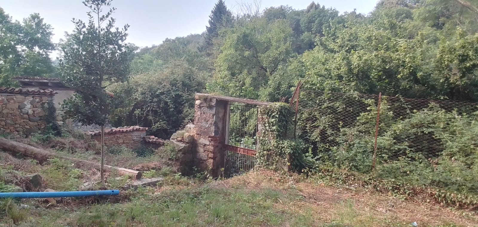 Studio ErrEmmE rustico vendita