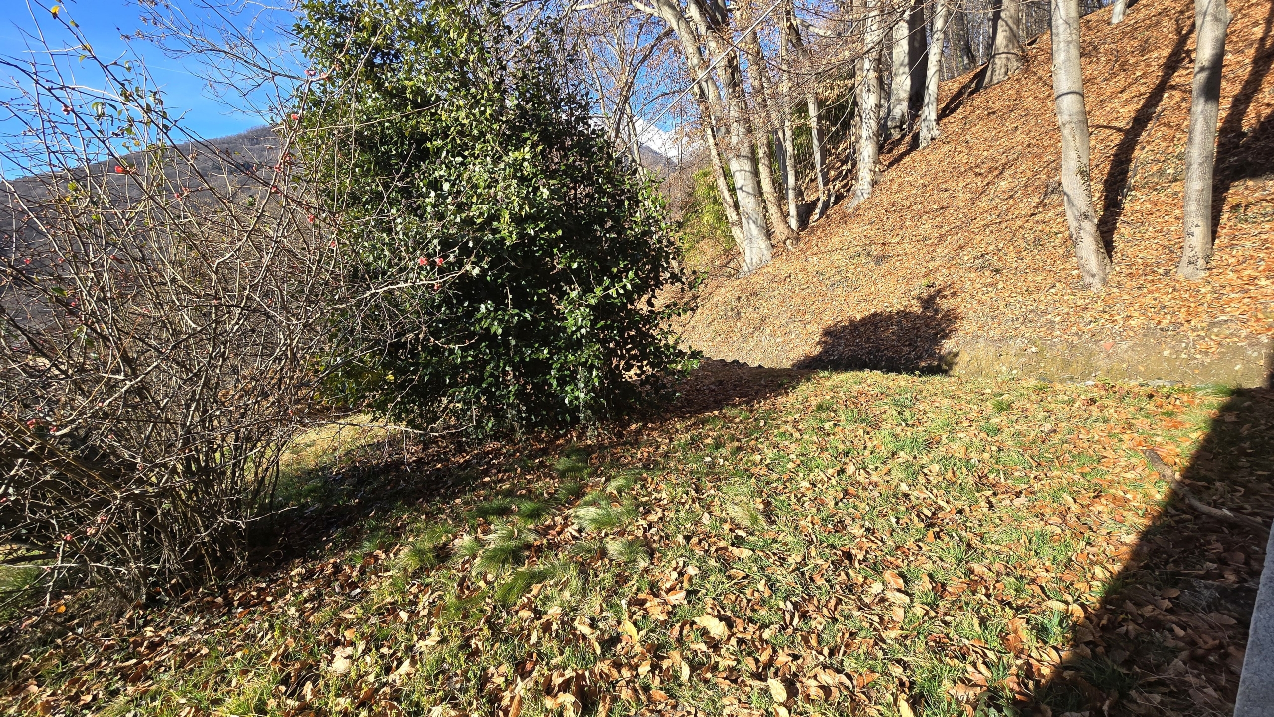 Studio ErrEmmE casa vendita