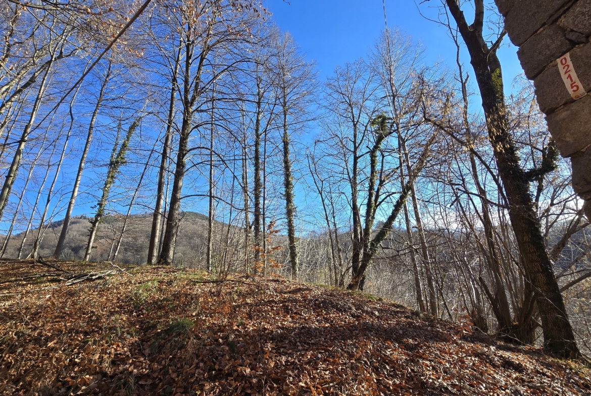 Studio ErrEmmE casa vendita