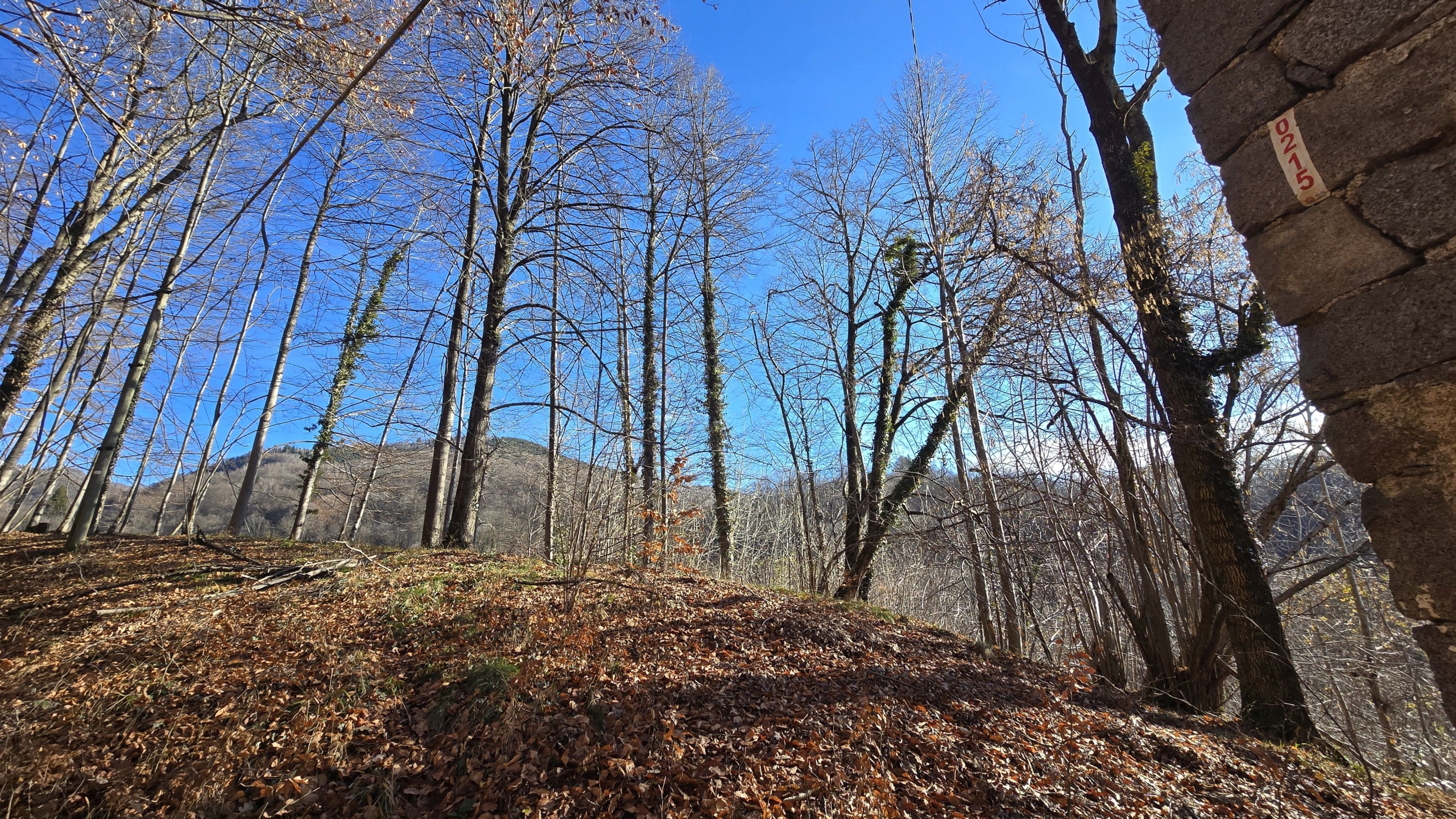 Studio ErrEmmE casa vendita