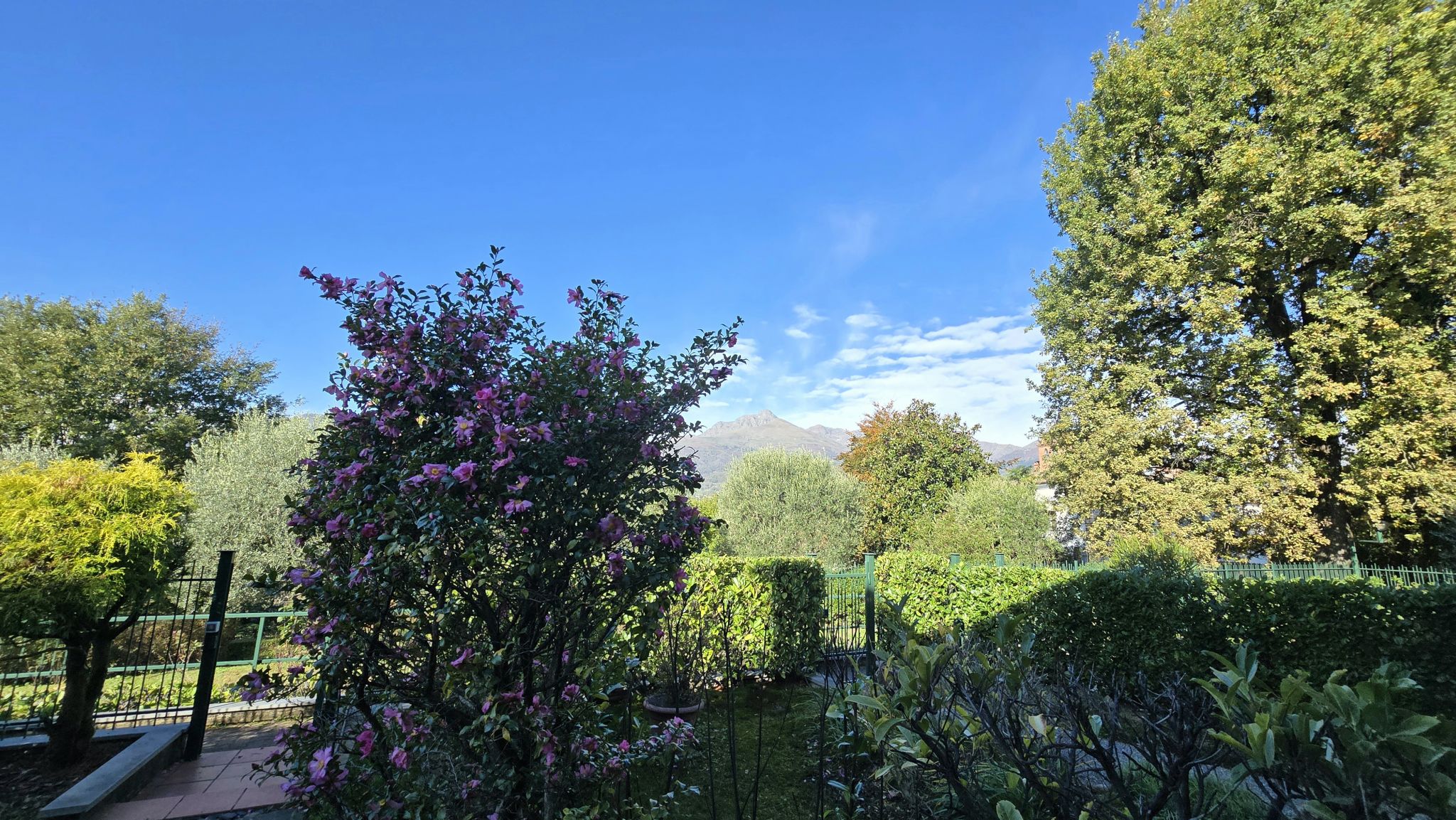 Studio ErrEmmE villa vendita