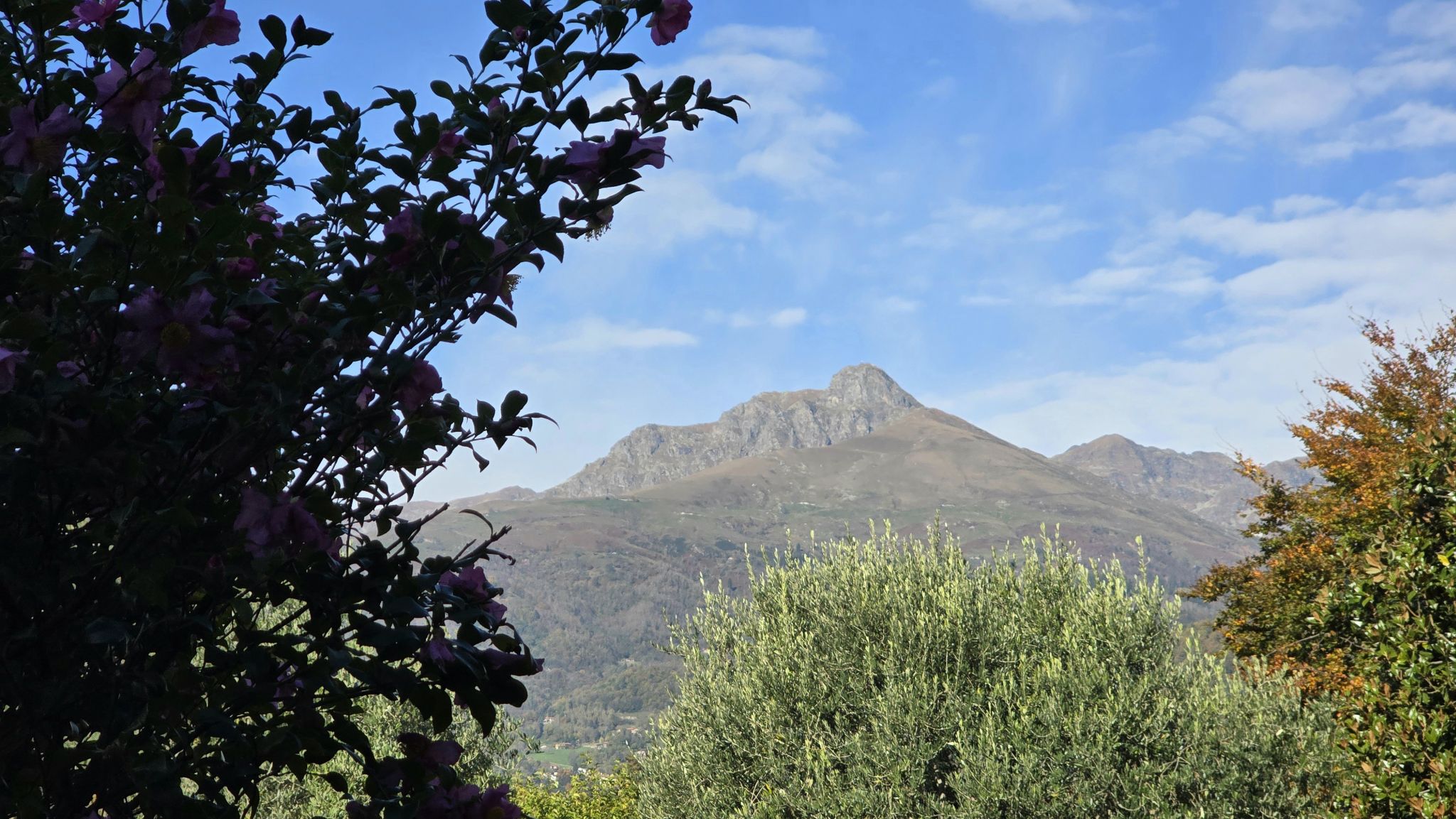 Studio ErrEmmE villa vendita