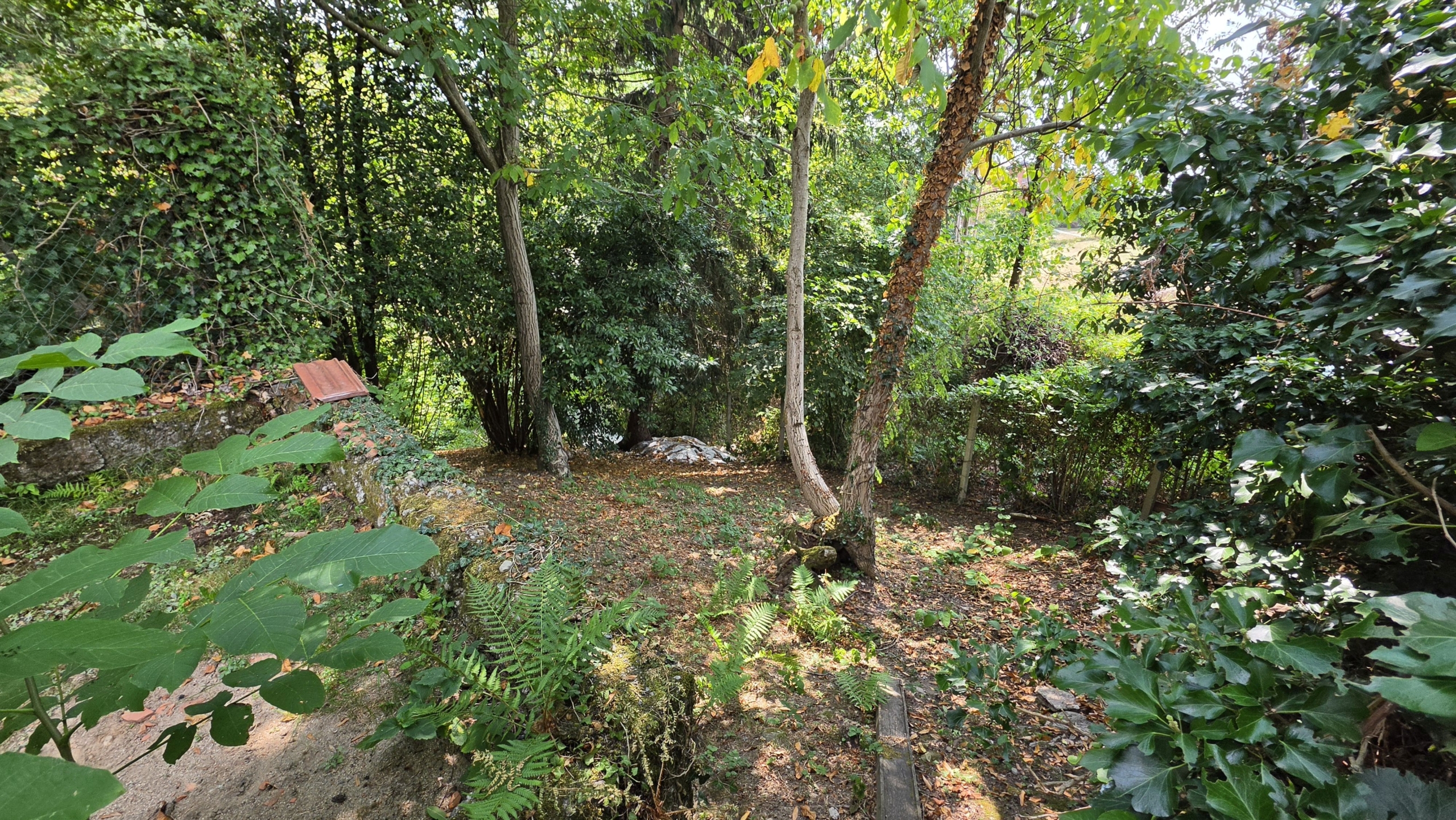 Studio ErrEmmE Rustico vendita