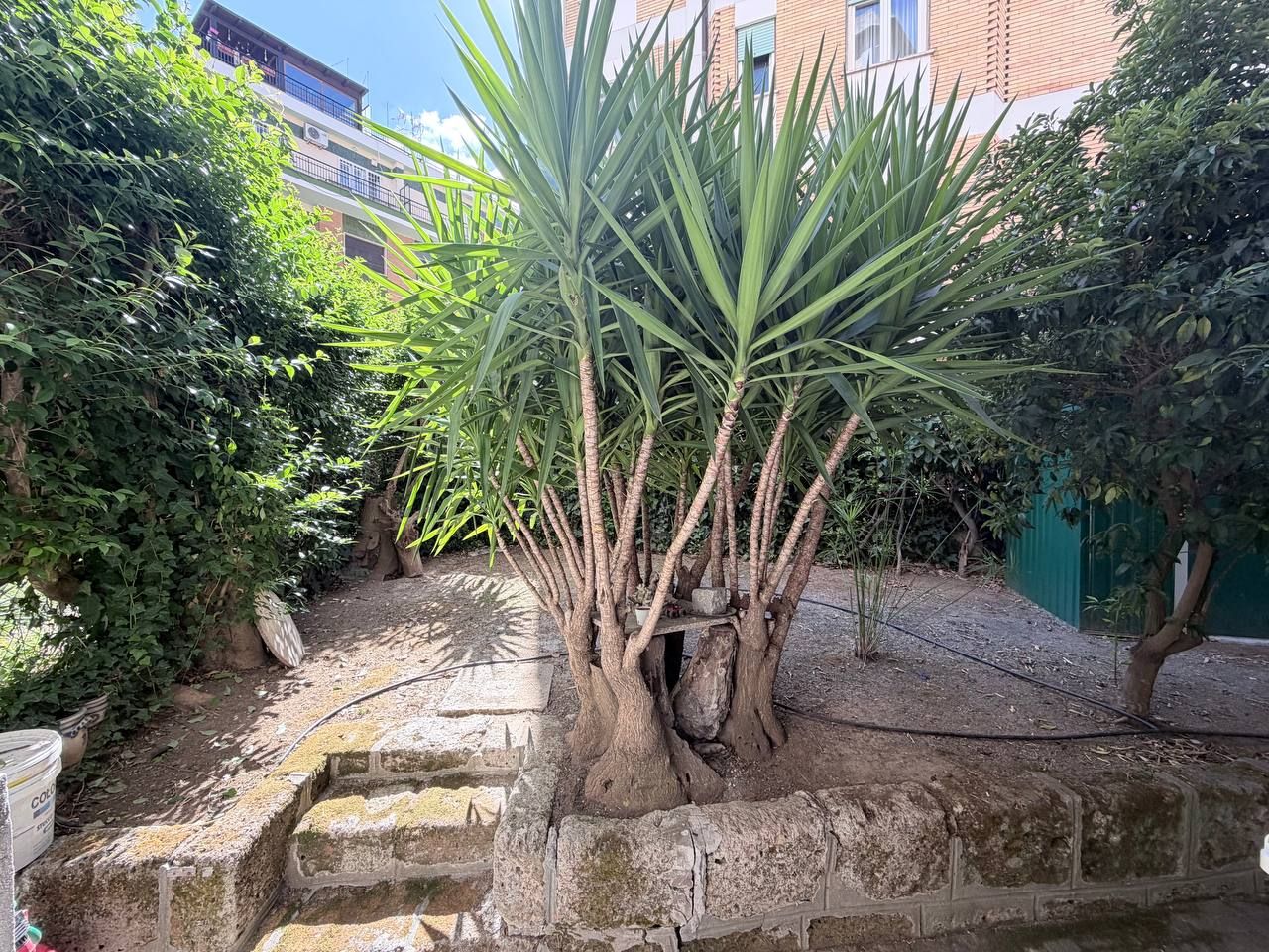 Studio ErrEmmE alloggio vendita